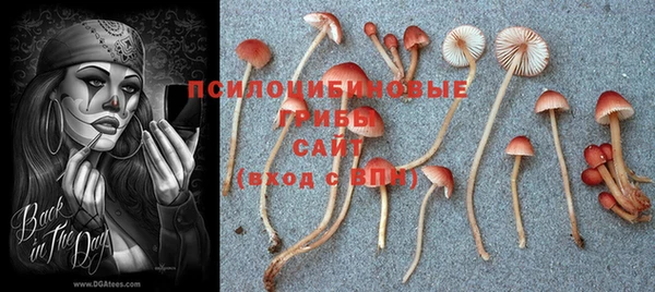спиды Вязьма